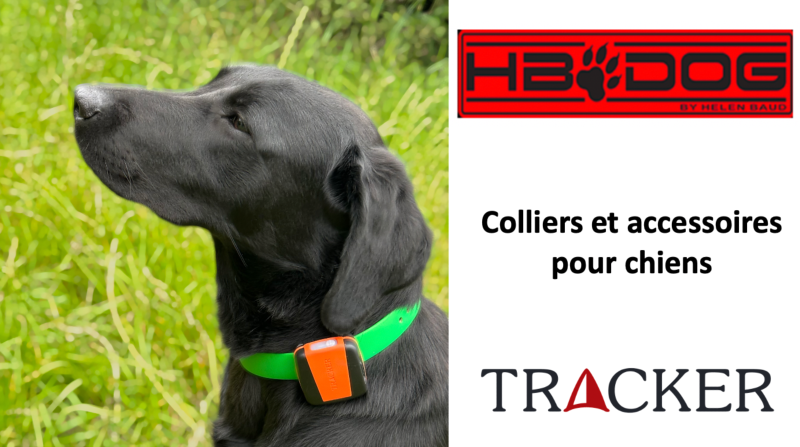 TRACKER HBDOG Colliers chiens de chasse